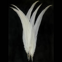 Pheasant Tail Feathers for Crafts Natural Silver Pheasant Feather Carnaval Wedding Feathers needlework accessories Decoration 2024 - buy cheap
