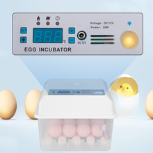 Incubadora de huevos práctica de gran capacidad, miniincubadora de 16 huevos, pollo, aves de corral, codorniz, uso doméstico, batería Dual totalmente automática 2024 - compra barato