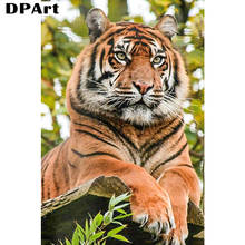 Pintura diamante completa quadrada/redonda animal tigres furadeira 5d daipor bordado pintura em ponto cruz imitação de diamante decoração de cristal a062 2024 - compre barato