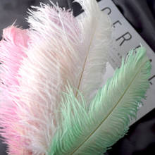 20-25cm Natural Ostrich Feathers Colorful Home Wedding Party Decoration Plume for Crafts 20/50 Pcs Wholesale Feather Ostrich 2024 - compre barato