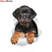 Three Ratels-pegatina 3D de FTC-1061, Rottweiler, cachorro, perro, para portátil, equipaje, refrigerador, puerta, impermeable, juguete, coche, calcomanía 2024 - compra barato