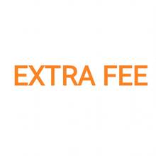 WITSON EXTRA FEE FOR DVR-012 2024 - buy cheap