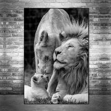 Leão africano família preto e branco quadros em tela posters e impressões animais quadros em tela na parede fotos de casa 2024 - compre barato
