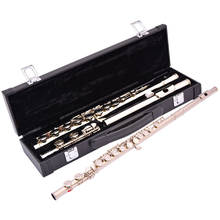 16 key closed Hole Flute nickel-plated silver C Tune E-key melodic professional musical instrument With Case Free Shipping 2024 - buy cheap