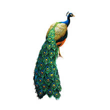 Personality High Quality Fashion Birds Peacock Decor Car Motorcycle Decals Windshield Scratches Waterproof PVC KK17*8cm 2024 - buy cheap