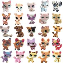 LPS CAT Редкие pet shop Симпатичные подставки для игрушек короткие волосы кошка оригинальный котенок Хаски щенков с рисунками животных, лисы из мультфильмов старый коллекционные фигурки 2024 - купить недорого