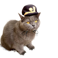 Anime JoJo Bizarre Adventure Cosplay Pet Hat Cosplay Prop Kuujou Joutarou Cat Hat Headgear Anime Lovely One Size Hat for Pet 2024 - buy cheap