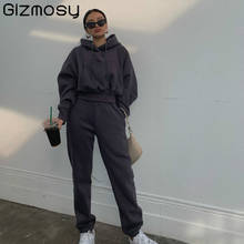 Gizmosy Autumn Winter Casual Tracksuit Women Sports Velvet 2 Pieces Set Sweatshirt Pullover Hoodies Suit Home Sweatpants Outfits 2024 - buy cheap