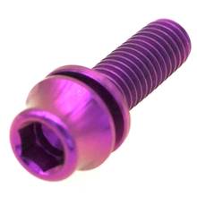 LOT 4 Purple M5 x 16mm GR5 Titanium Screw Bolts With Washer For Bicycle Kettle 2024 - buy cheap