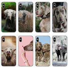 Weimaraner dog art Accessories Phone Case For iPhone 11 Pro XS Max XR X 8 7 6 6S Plus 5 5S SE 4S 4 iPod Touch 5 6 2024 - buy cheap