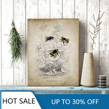 Vintage Bumble Bee Illustration Wall Art Canvas Painting Posters Prints Bee Insect Farmhouse Country Retro Home Decoration 2024 - buy cheap