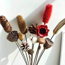 Natural Dried Flower Pampas Lotus Wheat Eucalyptus Pinecone Decoration for Nordic Home Photo Shoot Props Artificial Plants Decor 2024 - buy cheap