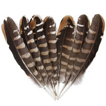 Wholesale 10Pcs Scare Natural Eagle Feathers 15-20CM 6-8" Pheasant Feathers for Crafts Jewelry Making Wedding Decoration Plumas 2024 - buy cheap