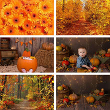 Avezano Autumn Pumpkin Backdrop Halloween Fallen Leaves Newborn Photography Background Studio Baby Shower Decor Props Photophone 2024 - buy cheap