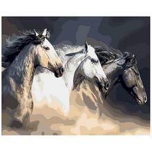Horse Coloring By Number Animal DIY Craft Kits On Canvas With Framed 40x60 Acrylic Paint For Adults Painting By Number Decor Art 2024 - buy cheap