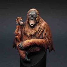 Kit de construcción de busto de resina, orangután a escala 1/10 2024 - compra barato