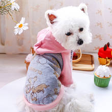 PETCIRCLE Dog Clothes Cartoon Gray Bunny Hoodie Shirt For Small Dog Puppy Pet Cat All Seasons Pet Cute Costume Pet Coat Jacket 2024 - buy cheap