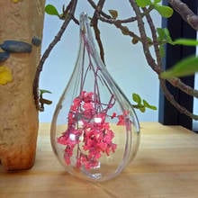 3pcs Plastic Transparent Candy Box Water Drop-shaped Christmas Ball Eternal Flower Ball Christmas Wedding Decoration Supplies 2024 - buy cheap