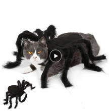 Halloween pet cão gato trajes pano aranha preto bonito fantasia vestir-se pequeno cão gato roupas bonito filhote de cachorro gato gatinho sem restrição 2024 - compre barato
