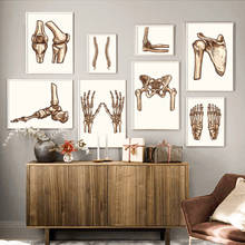 Canvas Painting Posters Retrogression of Human Anatomy of The Bones and Joints of The Fingers and Lungs Wall Art Home Decor 2024 - buy cheap