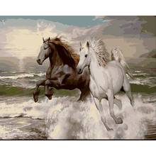 Animais pintura por números kits de cavalos sobre tela para adultos imagem a óleo com quadro de pintura acrílica por número cor decoração da casa presente 2024 - compre barato