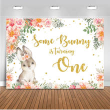  First Birthday Photograpy Background Some Bunny is Turning One Backdrop 1st Birthday Party Baby Shower Banner Decor 2024 - buy cheap