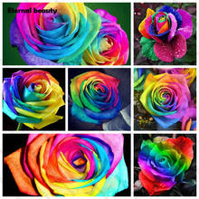 Rainbow Colorful Diamond Painting 5D Diy Kit Flower Wall Pictures Diamond Embroidery Rose Mosaic Wall Art for Home Decoration 2024 - buy cheap