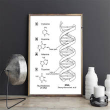 Black and White DNA Model Wall Art Genetics Posters and Prints Biology Wall Art Picture Laboratory Wall Study Home Decoration 2024 - buy cheap