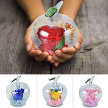 2020 Dropshipping Preserved Rose Artificial Immortal Flowers In Apple-shaped Glass Dome Christmas Valentine's Day Gift for Girls 2024 - buy cheap