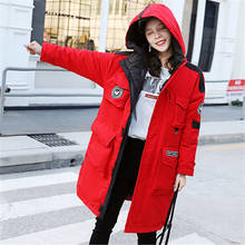 Cotton Clothing Jacket Female 2019 Winter Fashion New Thickening Tooling Hooded Loose Warm Cotton Clothing Coat Tide HHH0030 2024 - buy cheap