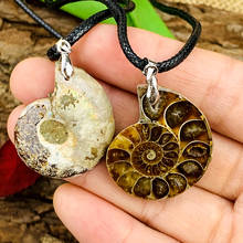 Lover Natural Quartz Pendants Ammonite Fossils Seashell Snail Ocean Reliquiae Conch Couple Necklace Jewelry Mineral Raw Specimen 2024 - buy cheap