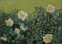 Vincent van gogh rosas selvagens impressão da arte cartaz quadros a óleo lona para decoração de casa arte da parede 2024 - compre barato