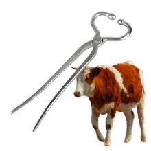 Bull nariz piercing dispositivo nariz da vaca anel de transporte alicates aço inoxidável ferramenta fixa gado nariz alicate suprimentos gado 2024 - compre barato