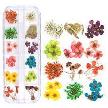 Mix Dried Flowers Nail 3D Decoration Jewelry 12 Grid Natural Floral Leaf Nail Art Designs Sticker Tips Manicure Accessories 2024 - buy cheap