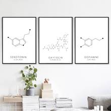 Молекула серотонин стены искусства холст плакат печать окситоцин и допамин живопись молекулярная структура картина химия наука Декор 2024 - купить недорого