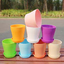 Color Flowerpot Environmental Protection Resin Flowerpot Gardening PP Flowerpot Color JuicyPotted Mini potted Ground Decoration 2024 - buy cheap