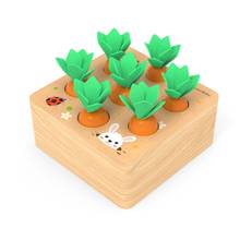 Kids Montessori Toys Block Set Alpinia Shape Matching Toys For Children Baby Wooden Size Cognition Carrot Game Early Education 2024 - buy cheap