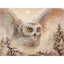 5D Diamond Painting Full Square Owl Cross Stitch Diamond Embroidery Animals Rhinestones Art Decoration For Home 2024 - buy cheap