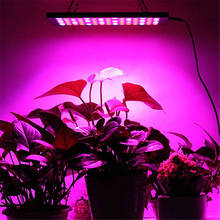 Luz led para crescimento das plantas, luz vermelha, azul, uv + ir mudo, espectro completo, luz para crescimento de plantas hidropônicas 2024 - compre barato