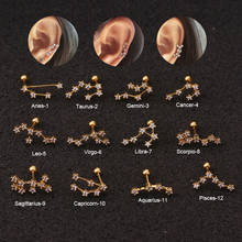 New 12 Constellation Cartilage Nail Stud Earring Stainless Steel CZ Star Cartilage Helix Lobe Helix Back Ear Piercing Jewelry 2024 - buy cheap