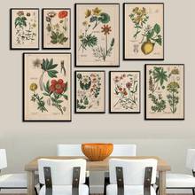 Carteles e impresiones de hierbas botánicas Vintage, decoración de pared del hogar, arte de pared de planta botánica antigua, lienzo de pintura, imágenes para Cocina 2024 - compra barato