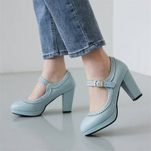 Spring High Heels Women Pumps Platform Mary Jane Shoes Buckle Ladies Party Hoof Heel Female Pumps European Shoes Plus Size 2024 - buy cheap