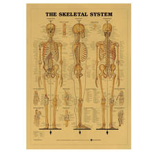 Винтажный медицинский постер The Skeleton System, декоративные наклейки для комнаты, Настенный декор из крафт-бумаги, домашний декор 2024 - купить недорого