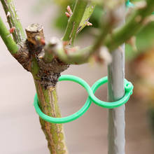 Clip de soporte para plantas de jardín, accesorio para jardinería, invernadero, forma de calabaza, conector para plantas, 20/50 Uds. 2024 - compra barato