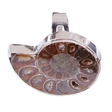 Anel de amonita com forma irregular, 100-exclusivo, 1 peça banhada a prata, anel de reposição para joia de aniversário 2024 - compre barato