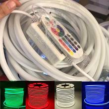 Switch RGB110V/220V Led Neon light 5050 IR Remote Control Waterproof IP68 Flexible LED Ribbon Outdoor Decoration EU/UK/AU/US 2024 - buy cheap