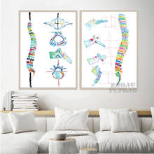 Spine Anatomy Artwork Poster Wall Art Canvas Poster Nordic Painting Wall Picture for Chiropractic Wall Art Office Decor 2024 - buy cheap