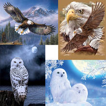 Pintura de diamante águia redonda completa 5d, faça você mesmo, bordado, coruja, animal, mosaico, strass, ponto cruz, arte, decoração de casa, parede 2024 - compre barato