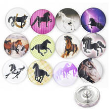 24pcs/LOT DIY Snap Jewelry Findings Cabochon Glass Printed Animal Horse Interchangeable Buttons for Bracelet Necklace DIY 2024 - buy cheap