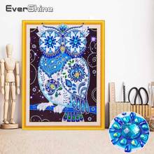 EverShine 5D DIY Special Shape Diamond Embroidery Owl Diamond Embroidery Animals Bead Picture Kits Mosaic Diamond Art 40x50 2024 - buy cheap